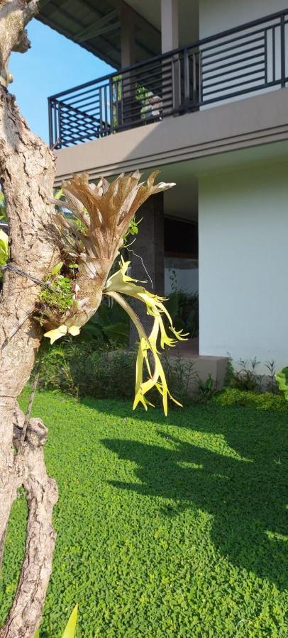 Indraprastha Cottage Ubud Esterno foto